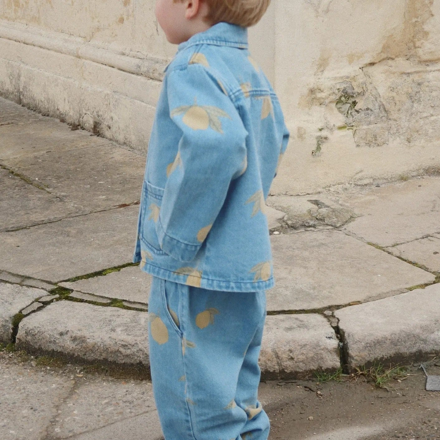 Magot Lemon Print Cotton Denim Pants